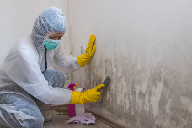 Oak Hill, WV Mold Remediation Company